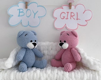 Teddy Bear Gender Reveal, Pink and Blue Bear Baby Shower, Baby Boy Or Girl Party Decor Template, He Or She, Diaper Cake Topper