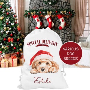 Personalised Christmas Dog sack, Personalised Christmas Pet Sack, Dog Santa Sack, Christmas Gift Bag for Dogs (various breeds) image 2