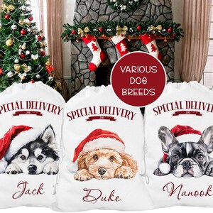 Personalised Christmas Dog sack, Personalised Christmas Pet Sack, Dog Santa Sack, Christmas Gift Bag for Dogs (various breeds) image 1