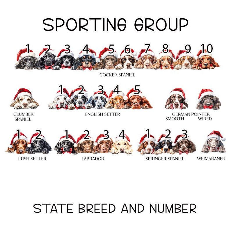 Personalised Christmas Dog sack, Personalised Christmas Pet Sack, Dog Santa Sack, Christmas Gift Bag for Dogs (various breeds) SPORTING GROUP