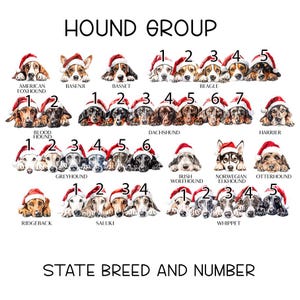 Personalised Christmas Dog sack, Personalised Christmas Pet Sack, Dog Santa Sack, Christmas Gift Bag for Dogs (various breeds) HOUND GROUP