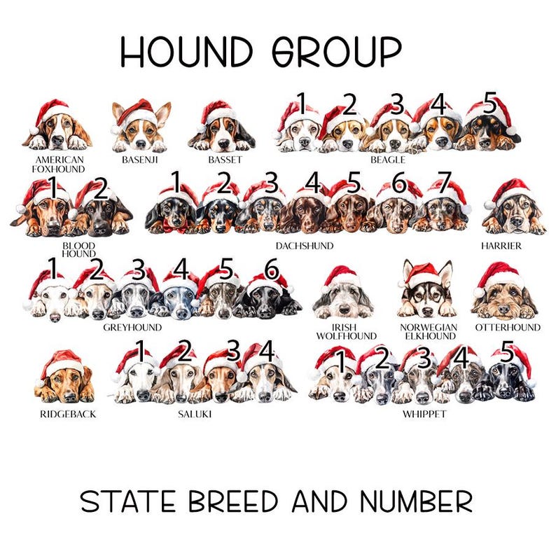 Personalised Christmas Dog sack, Personalised Christmas Pet Sack, Dog Santa Sack, Christmas Gift Bag for Dogs (various breeds) HOUND GROUP