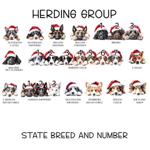 Personalised Christmas Dog sack, Personalised Christmas Pet Sack, Dog Santa Sack, Christmas Gift Bag for Dogs (various breeds) HERDING GROUP