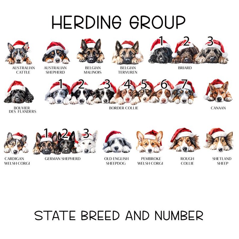 Personalised Christmas Dog sack, Personalised Christmas Pet Sack, Dog Santa Sack, Christmas Gift Bag for Dogs (various breeds) HERDING GROUP