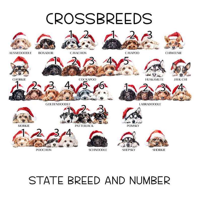 May include: A chart with illustrations of various dog breeds wearing Santa hats. The breeds are listed below each image, including: Aussiedoodle, Boxador, Cavachon, Cavapoo, Chiweenie, Chorkie, Cockapoo, Goldendoodle, Huskamute, Jave Chi, Labradoodle, Morkie, Patterjack, Pomsky, Poochon, Schnoodle, Shepsky, and Shorkie.