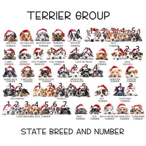 May include: A chart of different terrier dog breeds wearing Santa hats. The chart is titled "Terrier Group" and lists the breeds in alphabetical order with a number next to each breed. The chart also includes the text "State Breed and Number".