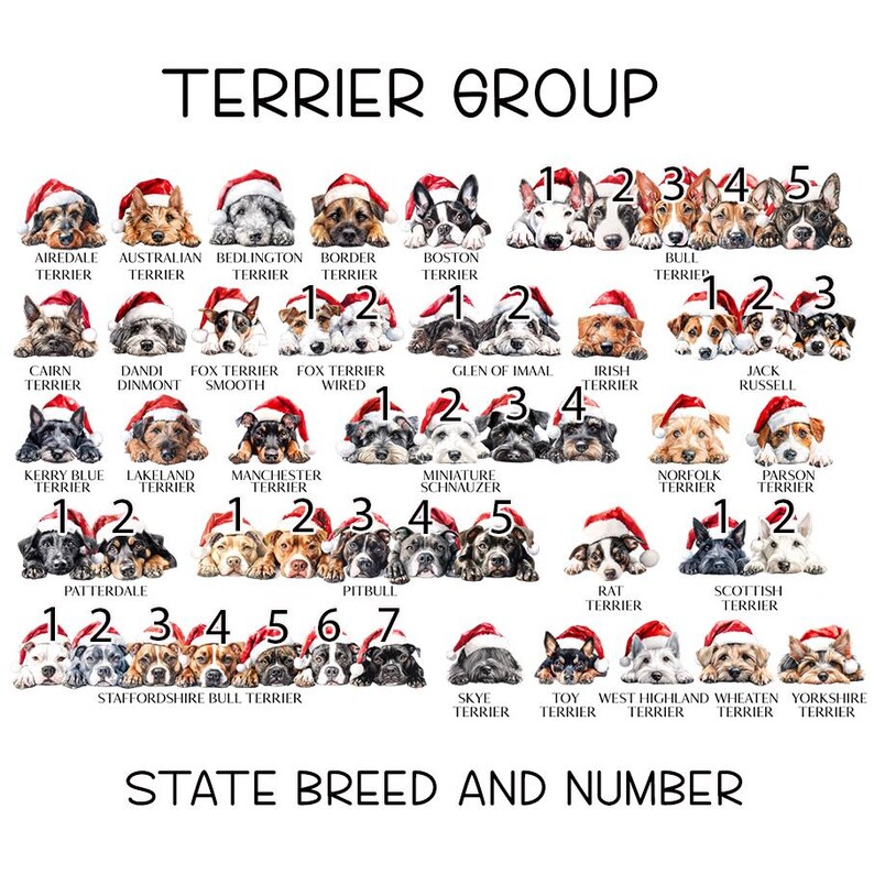 May include: A chart of different terrier dog breeds wearing Santa hats. The chart is titled "Terrier Group" and lists the breeds in alphabetical order with a number next to each breed. The chart also includes the text "State Breed and Number".