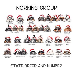 Personalised Christmas Dog sack, Personalised Christmas Pet Sack, Dog Santa Sack, Christmas Gift Bag for Dogs (various breeds) WORKING GROUP