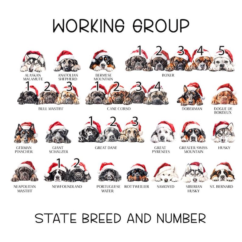 Personalised Christmas Dog sack, Personalised Christmas Pet Sack, Dog Santa Sack, Christmas Gift Bag for Dogs (various breeds) WORKING GROUP