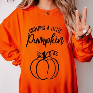 Growing a Little Pumpkin Maternity Sweatshirt, Fall Pregnancy Announcement, Pregnant Sweatshirt, Pregnancy Reveal Hoodie, Pregnancy Gift