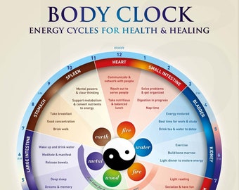 Body Clock Energy Cycles Print: Health & Healing Poster (Digital Download)