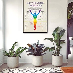 May include: A motivational poster with a rainbow-colored human figure, titled "Elevate Your Vibration". The poster shows a chart with emotions and their corresponding frequencies. The poster is framed in black and hanging on a white wall.