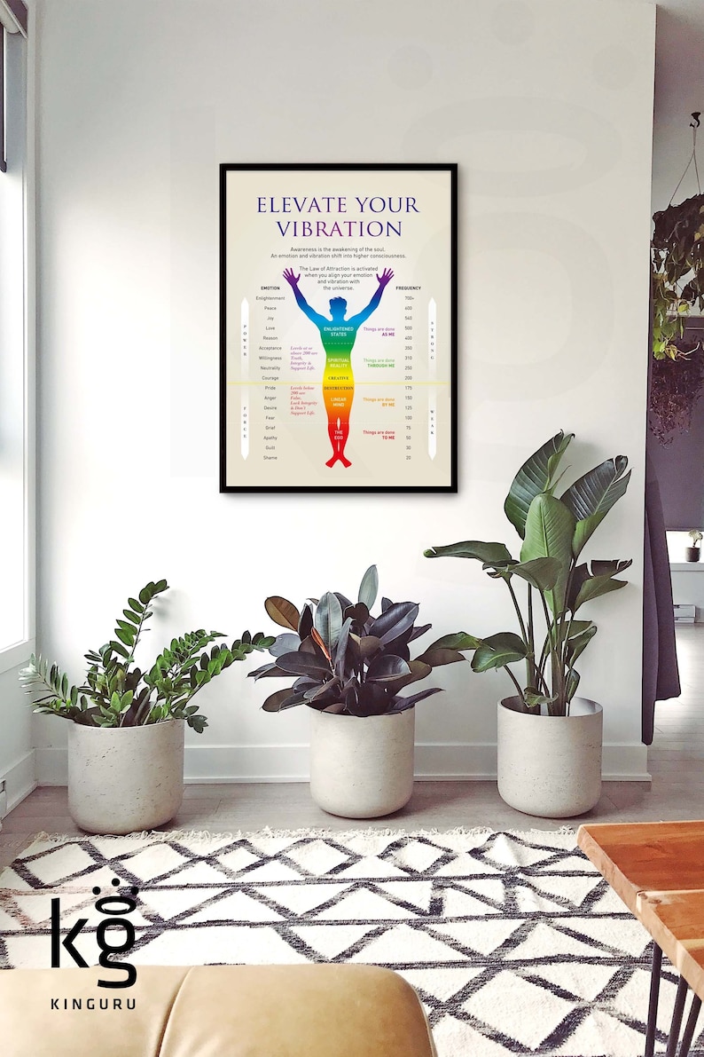 May include: A motivational poster with a rainbow-colored human figure, titled "Elevate Your Vibration". The poster shows a chart with emotions and their corresponding frequencies. The poster is framed in black and hanging on a white wall.