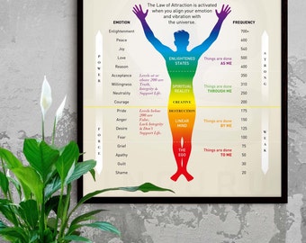 law of vibration deutsch Stumm- und Trainingsmaulkorb: Verstellbarer, atmungsaktiver Hundemaulkorb –  Anti-Bell- und Trainingsmaske für Sicherheit und Kontrolle – Duke & Scoop main image 0