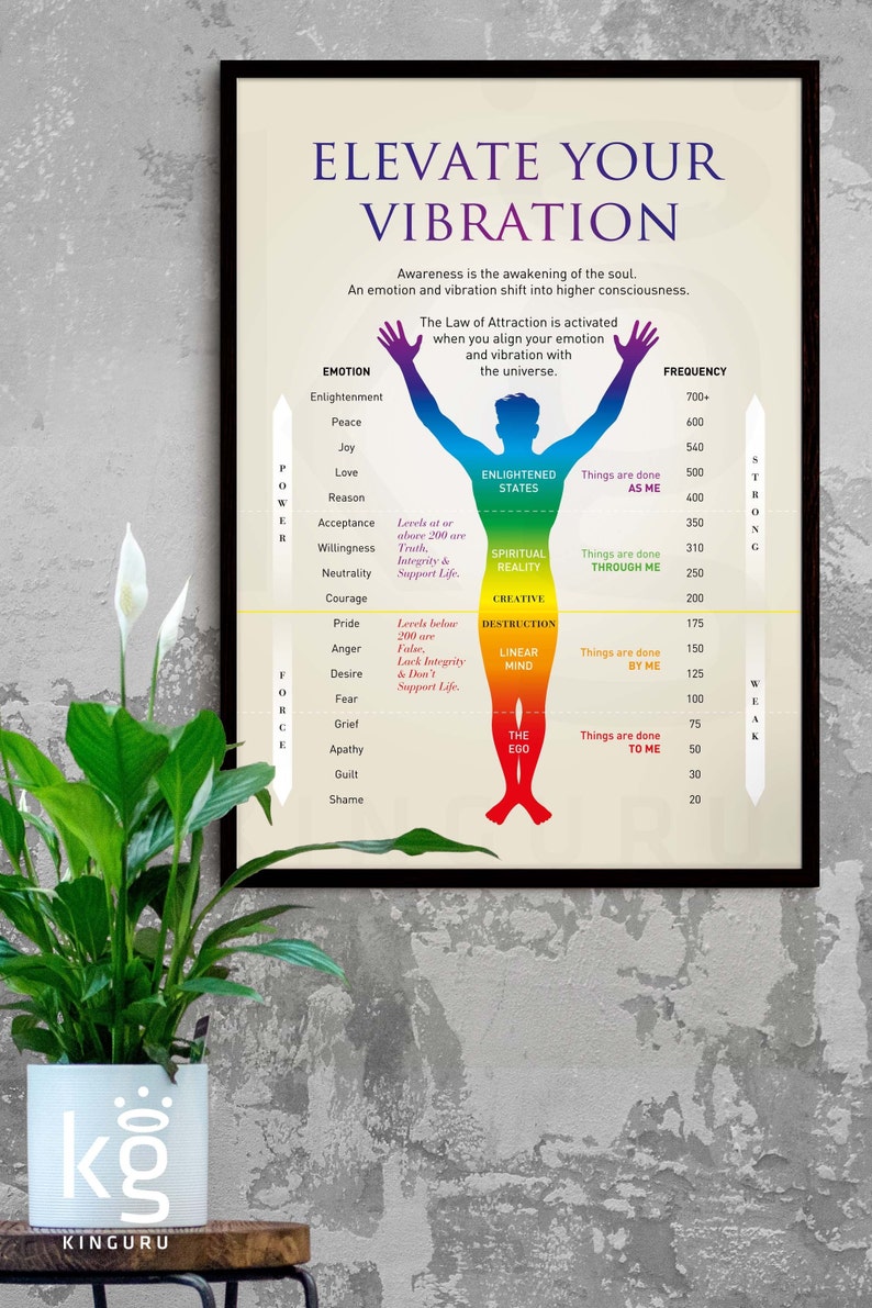 May include: A motivational poster with a rainbow-colored human figure, showing different levels of vibration and emotions. The poster includes the text "Elevate Your Vibration" and "Things are done as me, through me, by me, to me".