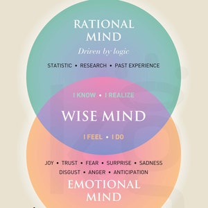 Pu&ograve; includere: Un diagramma che illustra il concetto di "Mente Saggia" come l'intersezione di "Mente Razionale" e "Mente Emotiva". La Mente Razionale &egrave; guidata dalla logica e include elementi come statistiche, ricerche ed esperienze passate. La Mente Emotiva &egrave; guidata dai sentimenti e include emozioni come gioia, fiducia, paura, sorpresa, tristezza, disgusto, rabbia e anticipazione.