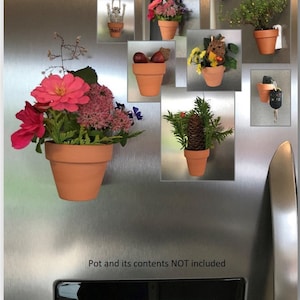 May include: A collection of small terracotta pots with various plants and decorations, including a skeleton, pine cones, and flowers, are attached to a stainless steel refrigerator door. The text "Pot and its contents NOT included" is visible at the bottom of the image.