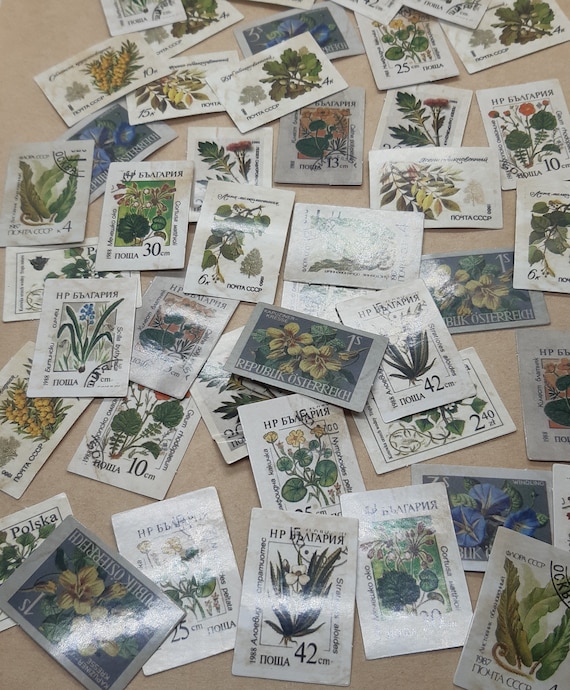 Retro Plants Stamps, Botanical Stickers, Museums and Encyclopedia Ilustrations, Shiny finish 22/45 pieces Decoration Stickers, Scrapbooking