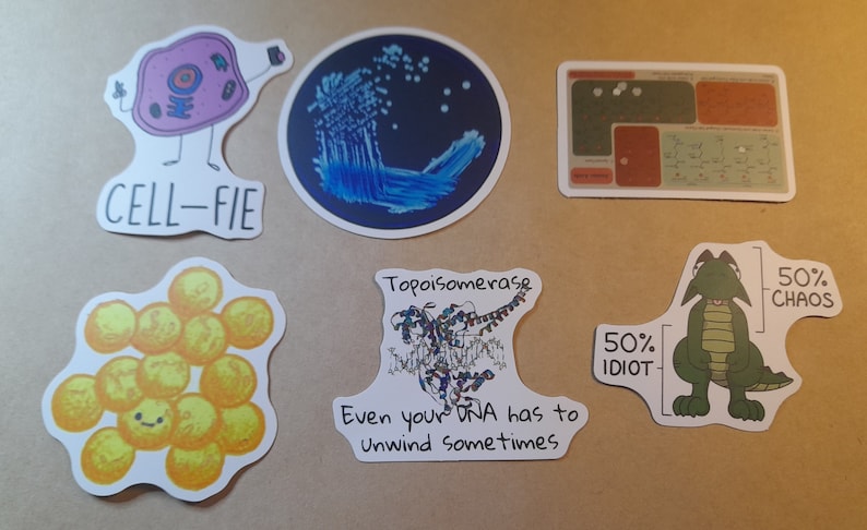 May include: A set of six stickers featuring humorous science-themed illustrations. The stickers include a cell taking a selfie, a petri dish with bacteria, a diagram of a DNA molecule, a cluster of yellow cells, a cartoon dragon, and a cartoon DNA molecule with the text "Topoisomerase Even your DNA has to unwind sometimes".