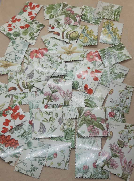 Botanical Stickers, Vintage Style Pictures, Plants, leaves and flowers, Set of 23/46pcs, Diary Journal Stationery Labels