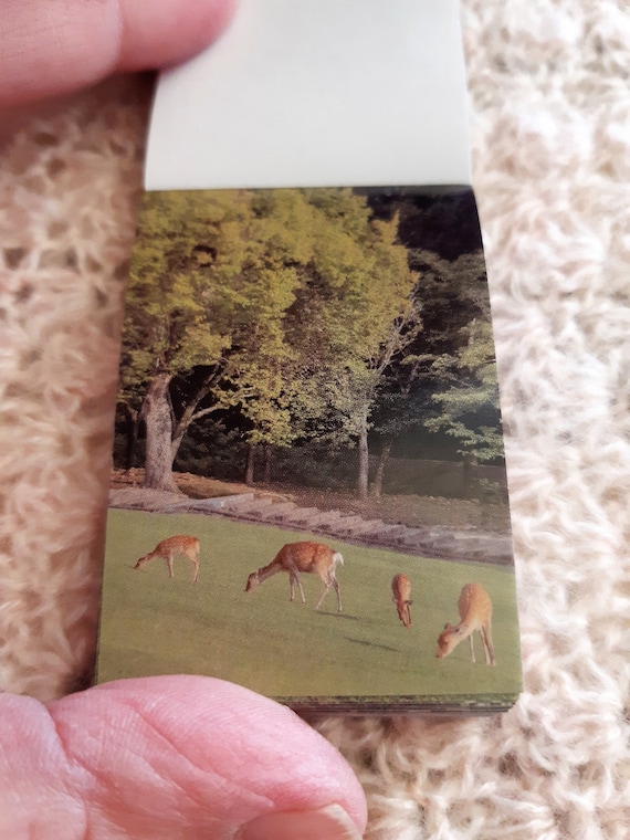 Blue Background Stickers Book, Green Background Stickers Book, Passing for the world collection, green or blue collections, 50pieces, DYI