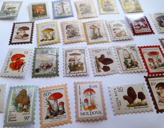 Vintage Retro Style Philatelic Museum Series 23 pieces Mushrooms Collection Creative DIY Decoration Stamp Stickers