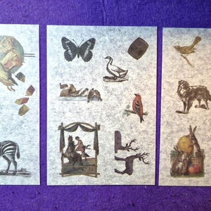 Vintage Tier Sticker, Mehrere Sticker in einem Bogen, Alte Ilustrierungen, Enzyklopädie-Stil-Design, Satz von 10/20 Bögen japanisches Papier