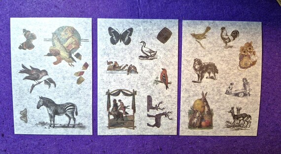 Vintage Animal Stickers, Several Stickers in a sheet, Old ilustrations, Encyclopedia Style Design, Set of 10/20 sheets Japanese Paper