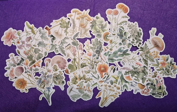 Watercolor Plant Stickers: Botanical Scrapbook Decals (25/50 Pieces)