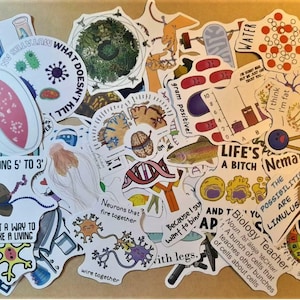 Eu amo adesivos de biologia, adesivos de biologia, adesivos educacionais, adesivos de desenhos animados, 25/50 peças, grafite engraçado, álbuns de recortes de ciências biológicas, bagagem, laptop