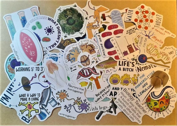 I love Biology Stickers, Biology Stickers, Educational, Cartoons Stickers, 25/50 pcs, Funny Graffiti, Life Science Scrapbooks Luggage Laptop
