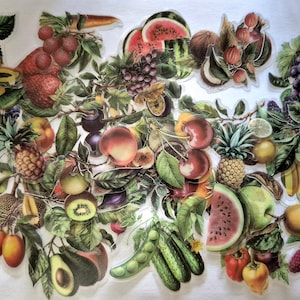 May include: A colourful collage of various fruits and vegetables, including watermelon, grapes, pineapple, and avocado. The image features detailed illustrations with a vintage aesthetic, showcasing a colourful assortment of produce.