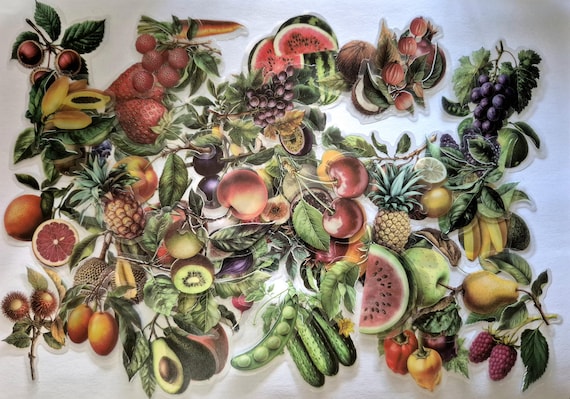 Fruits and vegetable Stickers, Educational, 25/50 pieces, Kids and Students, Waterproof Plastic Stickers