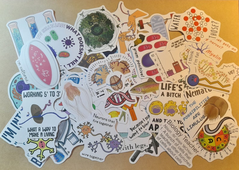 May include: A collection of colorful stickers with science-themed illustrations and text. The stickers feature various topics, including biology, genetics, and cell structure. Some of the text on the stickers includes "I'm cultured", "Working 5' to 3'", "What a way to make a living", "Life's a bitch", "Nematode", "The possibilities are Limulus", "Biology Teacher", "And That's You", "Because I sur want to bind with legs", "Neurons that fire together wire together", "Gram positive", "Water", "I think I'm fat", "Those?", "What doesn't kill", "I'm int", "Ve!" and "Myelin".
