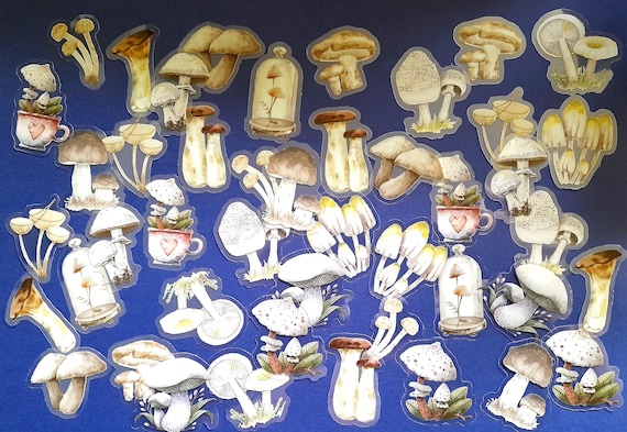Transparent Mushroom Stickers, White Mushrooms, Yellow Mushrooms, Yellow Mushrooms, Brown Mushrooms, 22/45 pieces Scrapbook Journal