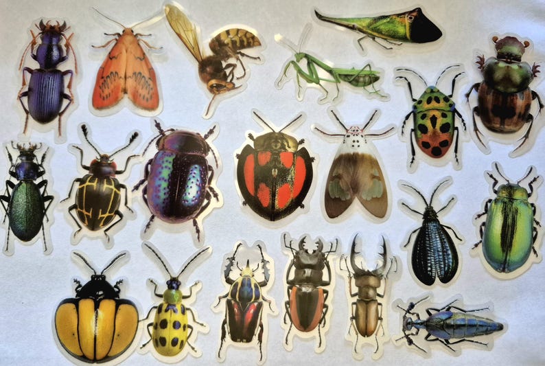 May include: A selection of insect stickers, including beetles, moths, and a mantis. The stickers showcase detailed illustrations with various patterns and colours, such as green, orange, and black.