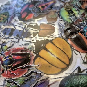 May include: A selection of colourful insect stickers, featuring various beetle designs. The stickers showcase a variety of colours, including yellow, red, blue, and green, with intricate patterns and details. The stickers are die-cut and ready to use.