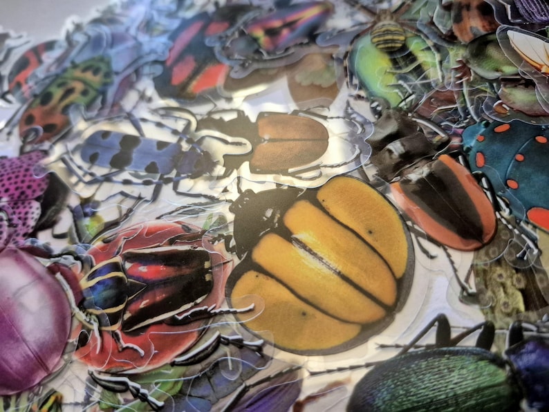 May include: A selection of colourful insect stickers, featuring various beetle designs. The stickers showcase a variety of colours, including yellow, red, blue, and green, with intricate patterns and details. The stickers are die-cut and ready to use.