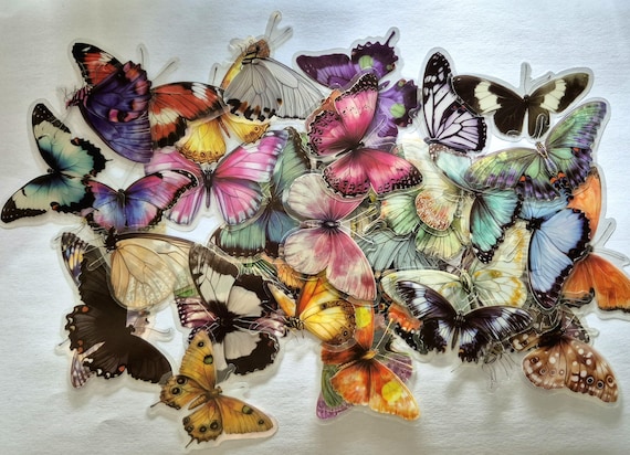 Butterfly Stickers, Educational, 25/50 pieces, Real picks, Kids and Students stickers, Waterproof, Colorful, Plastic material