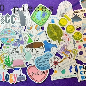 I love Biology II ステッカー、カラフルなライフステッカー、25/50枚 面白いグラフィティ ライフサイエンス デカール スクラップブック 日記 荷物 ノートパソコン 携帯電話