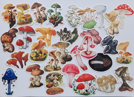 Funny Mushroom  Fungus Sketch Cute Agaric Art Vintage style 25/50pcs Graffiti Scrapbook Phone Laptop Stickers for Diary Notebook Sticker