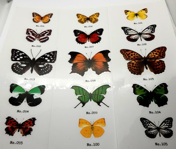 Butterfly PET Sticker /3 Pcs/Lot Vintage Jungle Animal /DIY/ Diary /Journal /Decoration/ Sticker/ Album/ Scrapbooking
