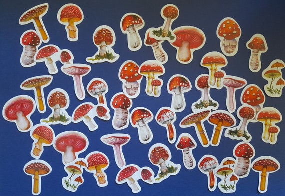 Cute Mushroom Stickers, Cartoon Mushrooms, DYI Projects, 23pcs. Diary Sticker Lovely Mushroom Label Scrapbooking Sticker Scrapbooking