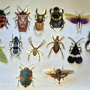 May include: A selection of insect stickers depicting various species. The stickers feature detailed illustrations of beetles, moths, spiders, and other bugs in vibrant colours like red, green, blue, and purple. The stickers are on a white background.