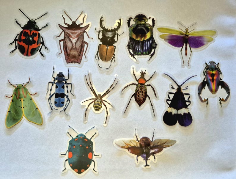 May include: A selection of insect stickers depicting various species. The stickers feature detailed illustrations of beetles, moths, spiders, and other bugs in vibrant colours like red, green, blue, and purple. The stickers are on a white background.