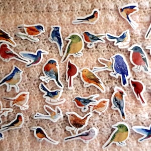 Pegatinas de pájaros - Pegatinas coloridas - 23/46 piezas - Pegatinas para scrapbooking - Decoraciones - Diario - Sobres - Planificador - Scrapbook - Decoración