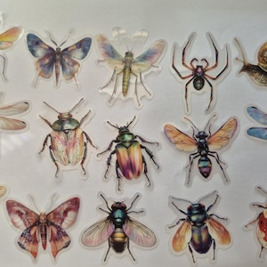 Op de afbeelding: Een verzameling kleurrijke insectenstickers, waaronder vlinders, libellen, kevers, een spin en een slak. De stickers bevatten illustraties in aquarel-stijl met een verscheidenheid aan kleuren en patronen.