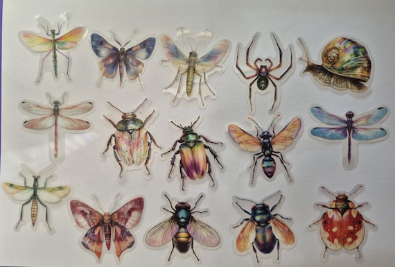 Insects Stickers Collection, Educational Stickers, 25/50 pieces, Insects Cartoon, Kids and Students stickers, High quality and Waterproof