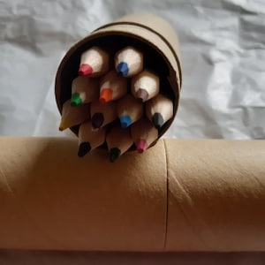 Pencils, 12 Colour Pencils with Case