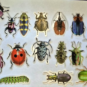 May include: A selection of insect stickers, including beetles and a caterpillar, in various colours. The stickers feature a range of patterns and shades, including red, blue, green, and yellow. These stickers are suitable for crafting and decorating.